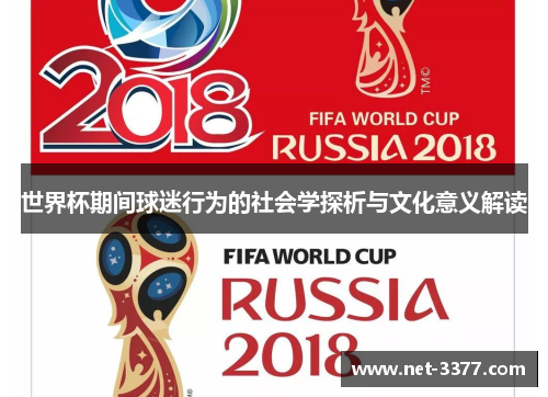 世界杯期间球迷行为的社会学探析与文化意义解读
