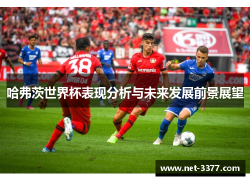 哈弗茨世界杯表现分析与未来发展前景展望
