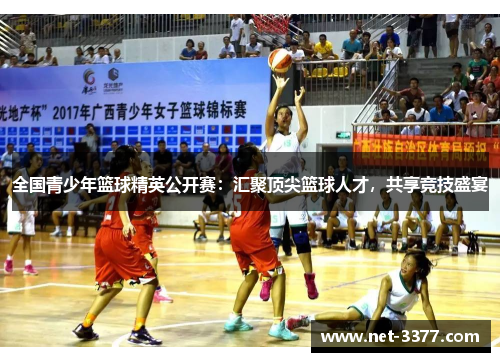 全国青少年篮球精英公开赛：汇聚顶尖篮球人才，共享竞技盛宴