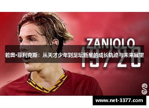 若奥·菲利克斯：从天才少年到足坛新星的成长轨迹与未来展望
