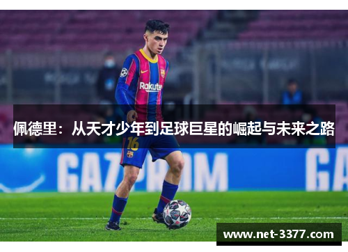 佩德里：从天才少年到足球巨星的崛起与未来之路