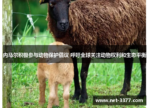 内马尔积极参与动物保护倡议 呼吁全球关注动物权利和生态平衡 内马尔积极参与动物保护倡议 呼吁全球关注动物权利和生态平衡