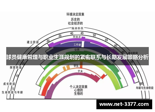 球员健康管理与职业生涯规划的紧密联系与长期发展策略分析