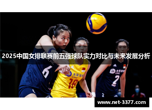 2025中国女排联赛前五强球队实力对比与未来发展分析