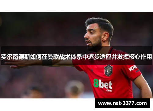 费尔南德斯如何在曼联战术体系中逐步适应并发挥核心作用