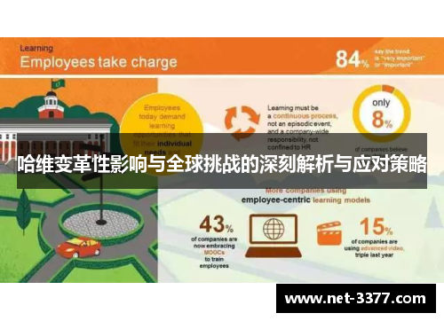 哈维变革性影响与全球挑战的深刻解析与应对策略