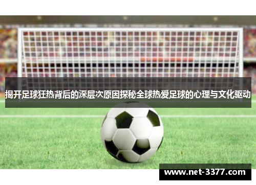揭开足球狂热背后的深层次原因探秘全球热爱足球的心理与文化驱动