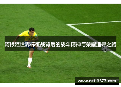 阿根廷世界杯征战背后的战斗精神与荣耀追寻之路
