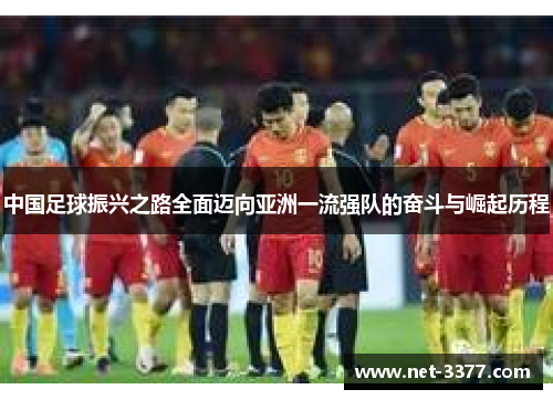 中国足球振兴之路全面迈向亚洲一流强队的奋斗与崛起历程