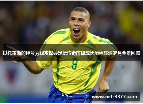 以托雷斯的绰号为线索探寻足坛传奇前锋成长历程辉煌岁月全景回顾
