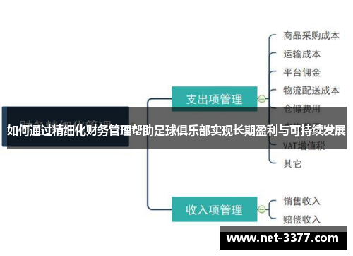 如何通过精细化财务管理帮助足球俱乐部实现长期盈利与可持续发展