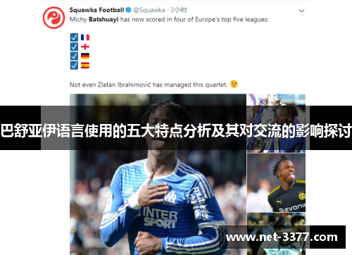 巴舒亚伊语言使用的五大特点分析及其对交流的影响探讨