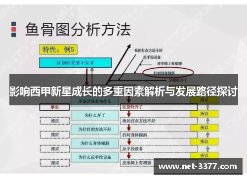影响西甲新星成长的多重因素解析与发展路径探讨